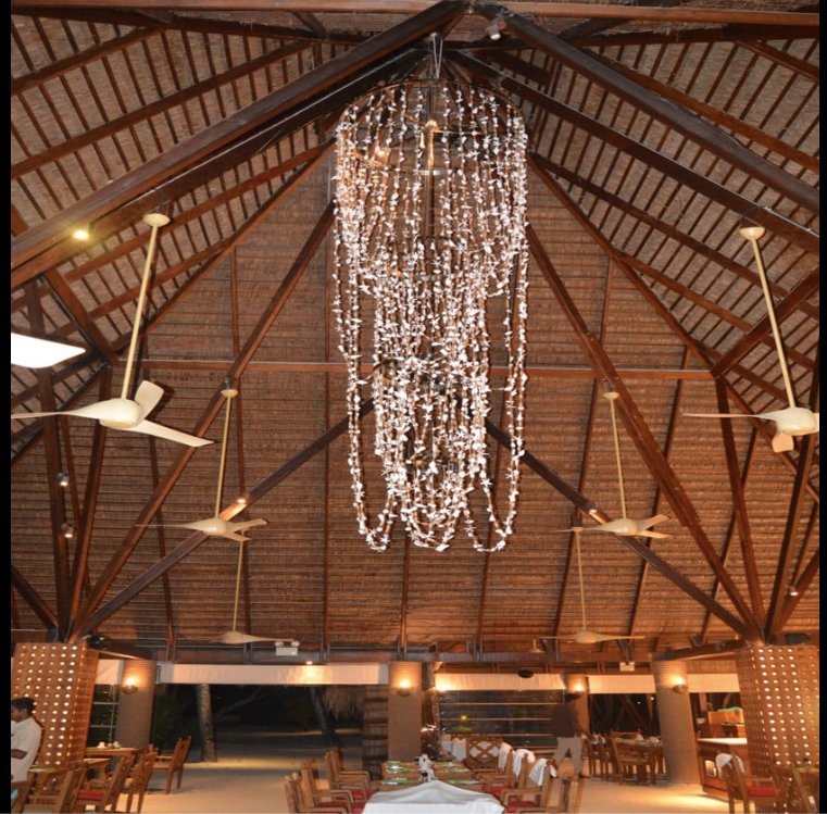 Shell Chandelier